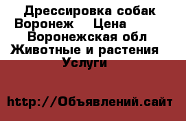 Дрессировка собак Воронеж  › Цена ­ 500 - Воронежская обл. Животные и растения » Услуги   